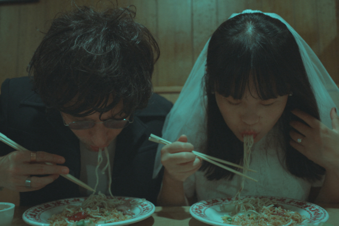 Chinese American Bear